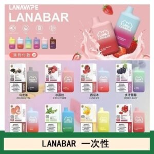 LANA BAR可充电一次性電子煙霧化5000口(3.0%)