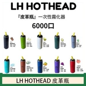 LH HOTHEAD皮革瓶電子煙可充電6000口一次性