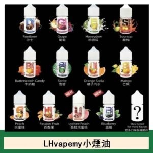 LHvapemy馬來西亞主機小煙油30ml