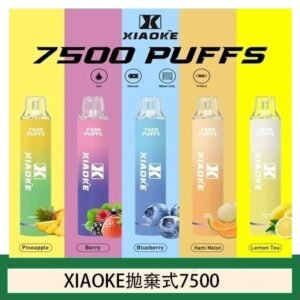 17種口味|梟客一次性電子菸 XIAOKE 7500口 炫酷發光設計
